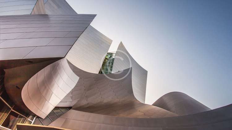 Building Strong Teams Across Key Industries